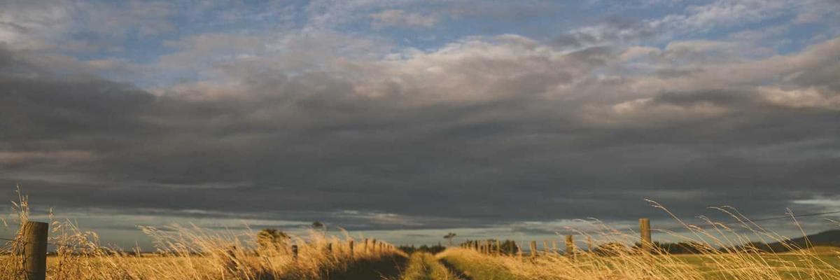 Templates Header